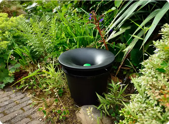 Gallery image 5 — spider control Escondido