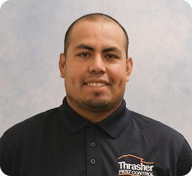 Gallery image 6 — spider control Escondido