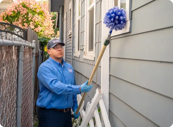 Gallery image 10 — spider control Escondido