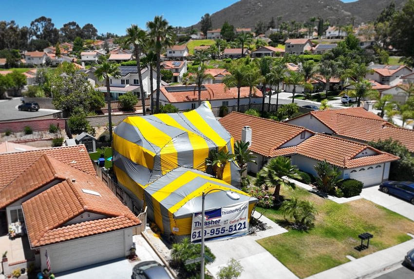 spider control Escondido