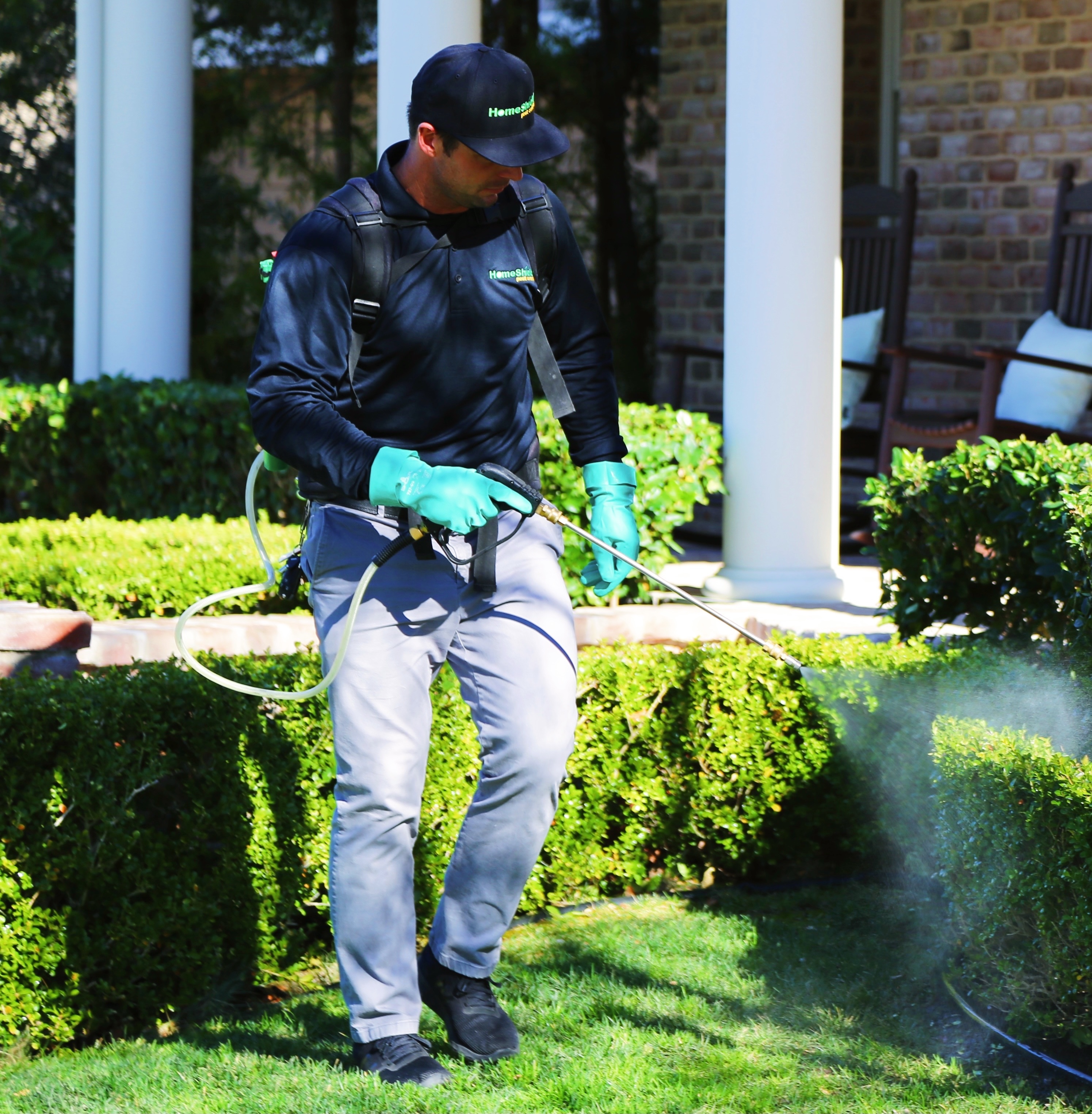 Gallery image 5 — termite control Florida