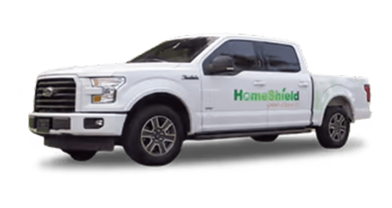 Gallery image 6 — termite control Florida