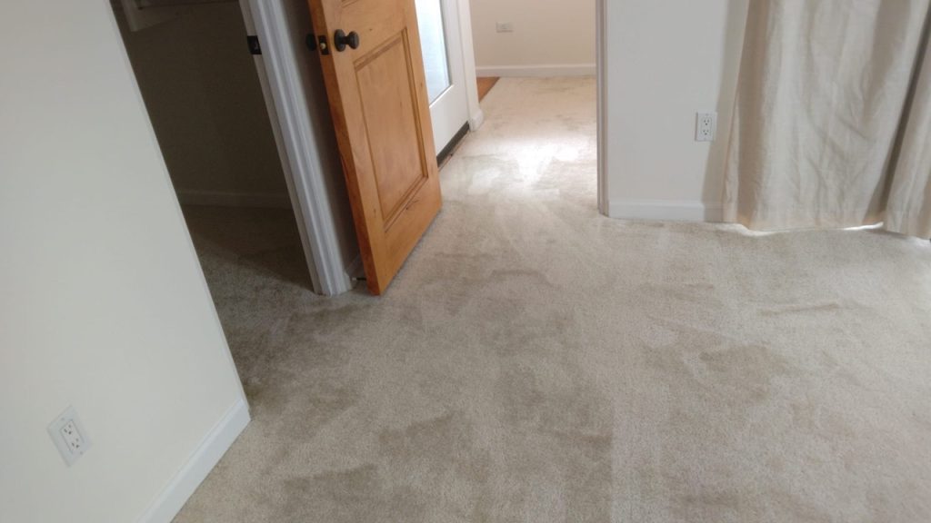 Gallery image 1 — Imperial Carpet Cleaning