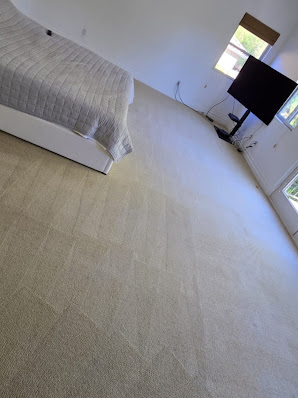 About SD Downtown Carpet Cleaners