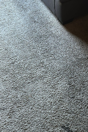 Gallery image 2 — SD Downtown Carpet Cleaners