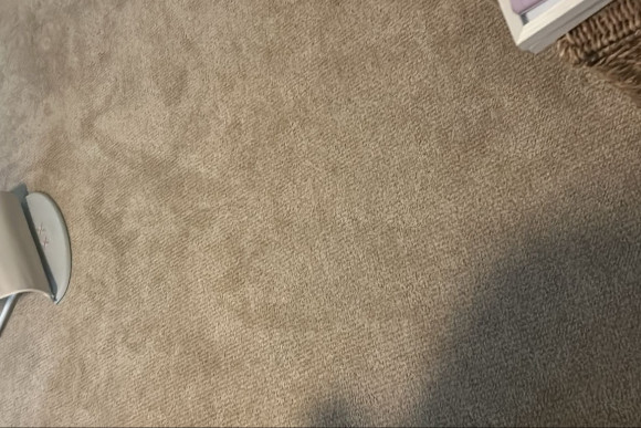 Gallery image 6 — SD Downtown Carpet Cleaners