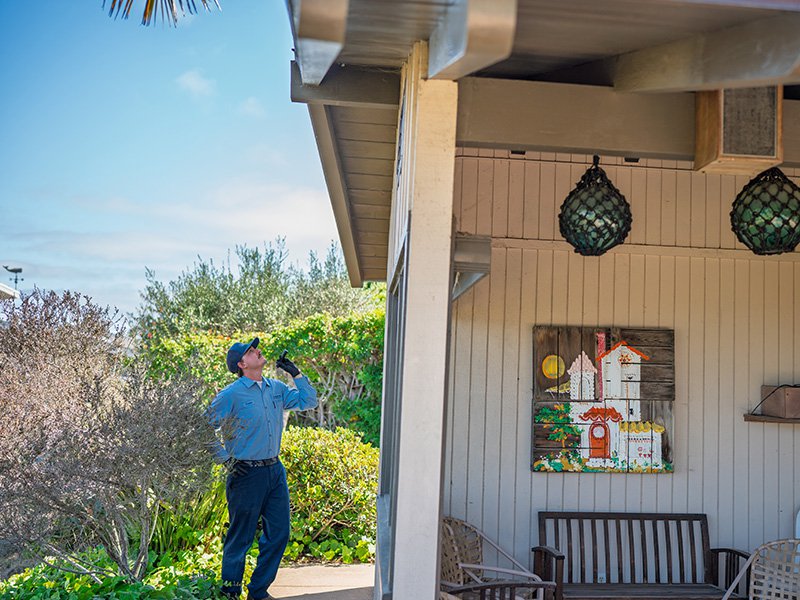 Gallery image 2 — Harbor Pest Control