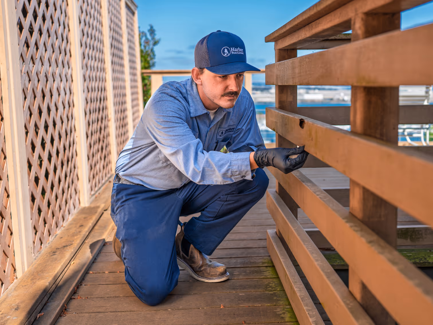 Gallery image 4 — Harbor Pest Control