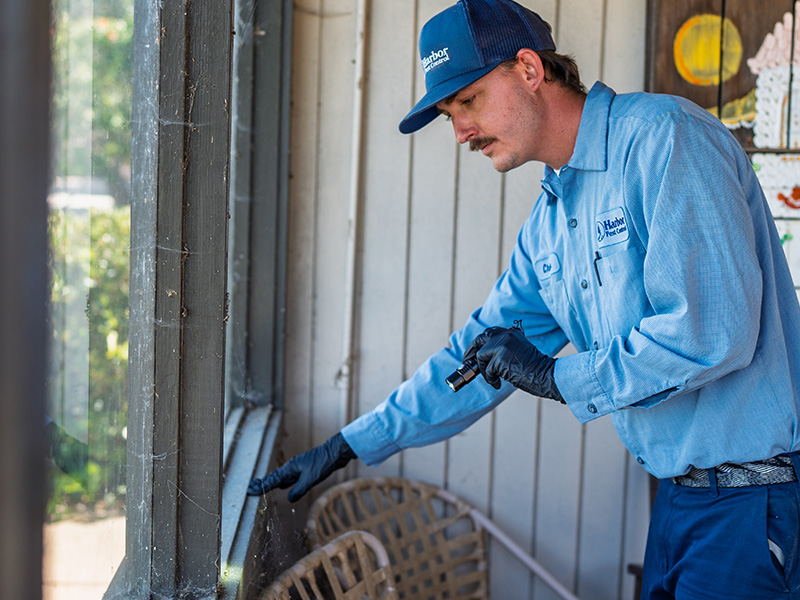 Gallery image 6 — Harbor Pest Control