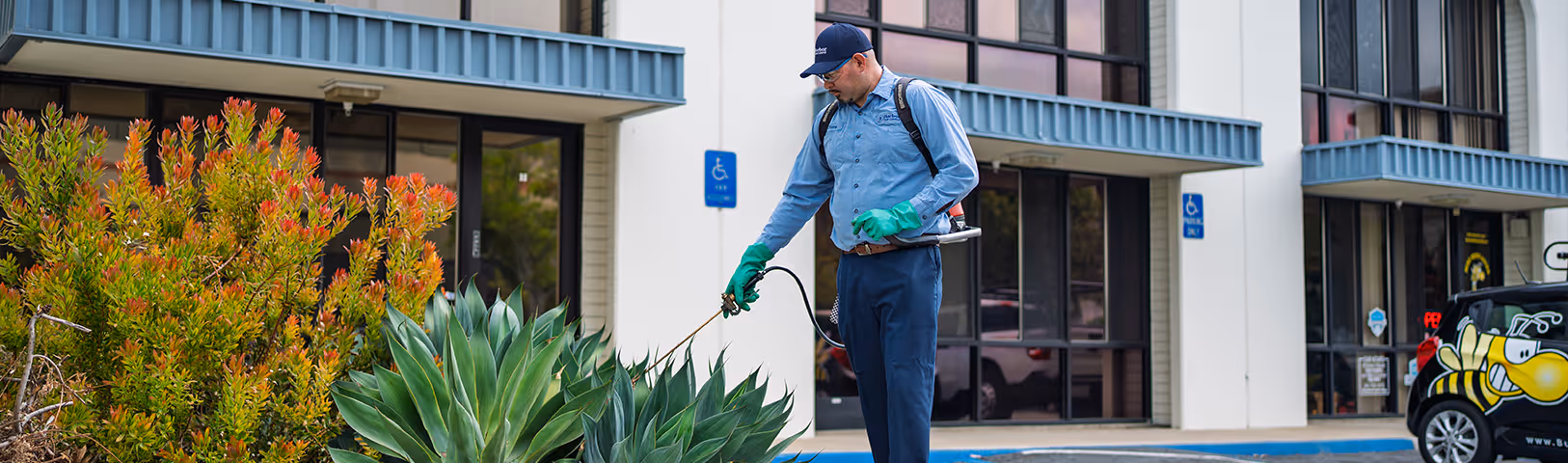 Gallery image 8 — Harbor Pest Control