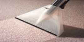 San Diego Carpet Repair & Cleaning