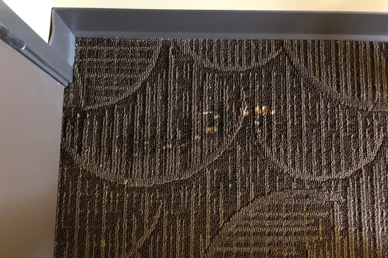 Gallery image 1 — San Diego Carpet Repair & Cleaning