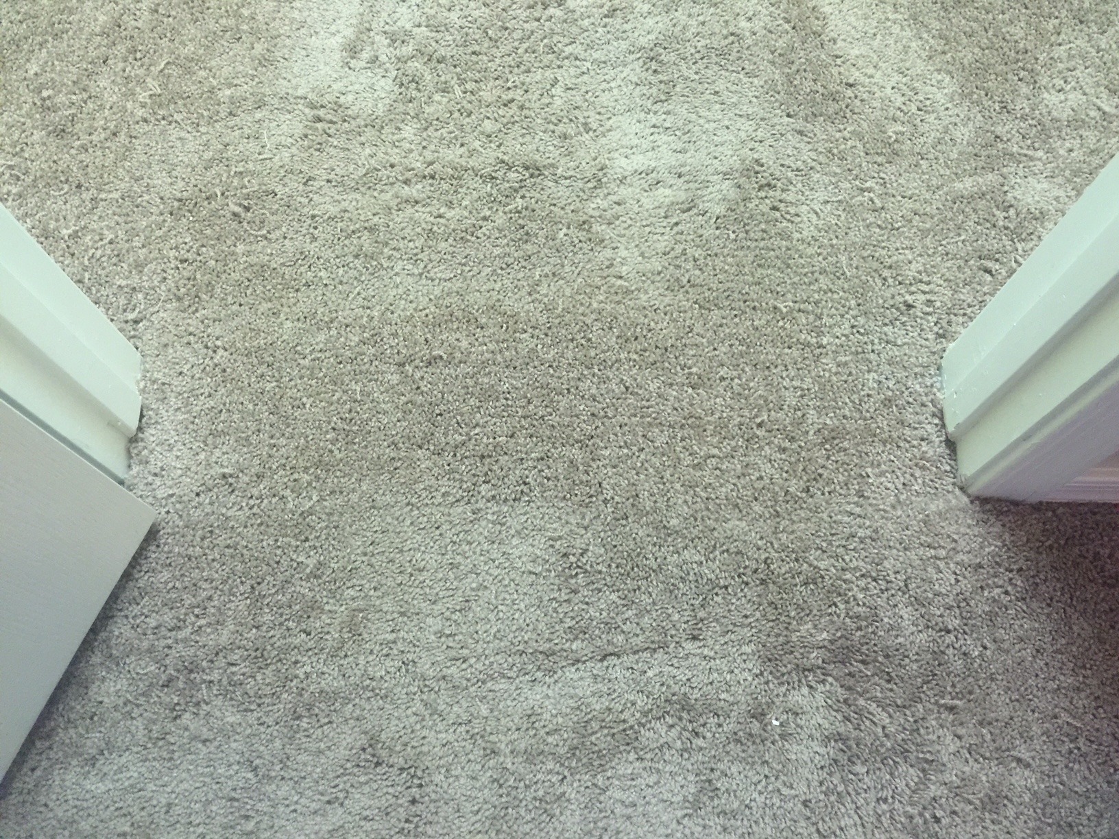Gallery image 2 — San Diego Carpet Repair & Cleaning
