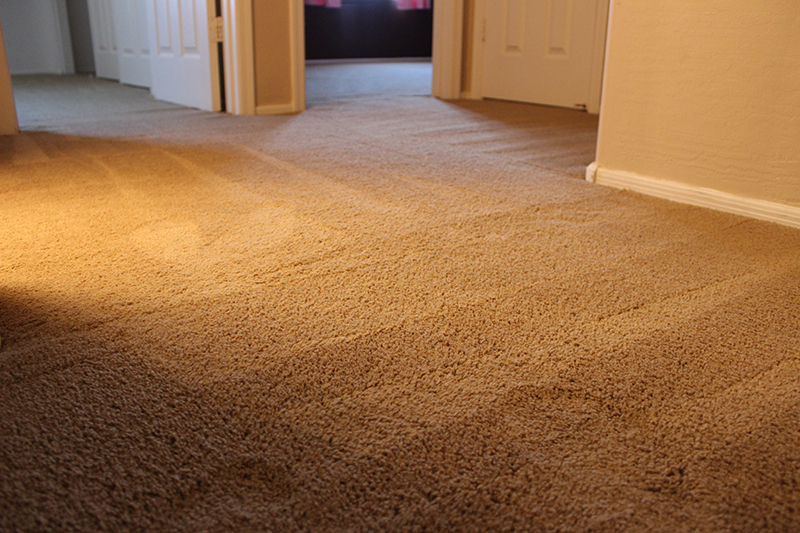Gallery image 4 — San Diego Carpet Repair & Cleaning
