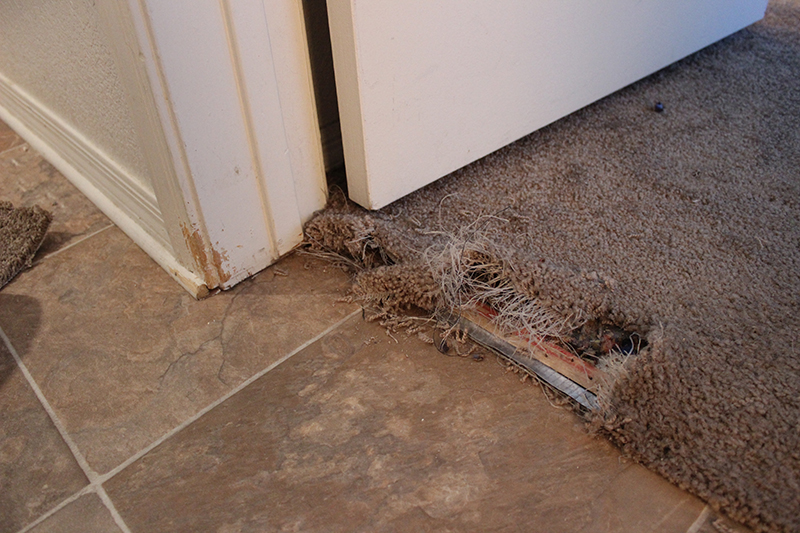 Gallery image 7 — San Diego Carpet Repair & Cleaning