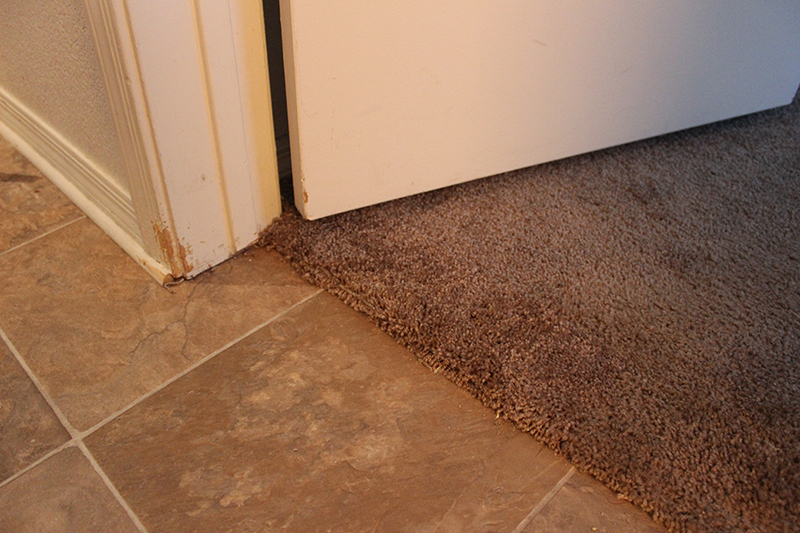Gallery image 9 — San Diego Carpet Repair & Cleaning