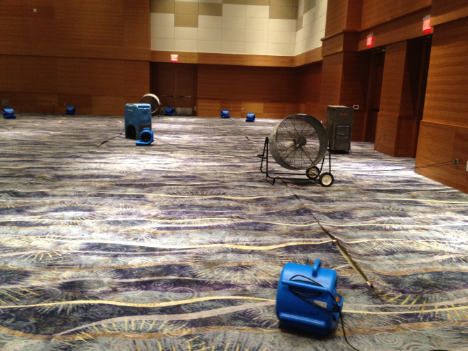 Gallery image 10 — San Diego Carpet Repair & Cleaning