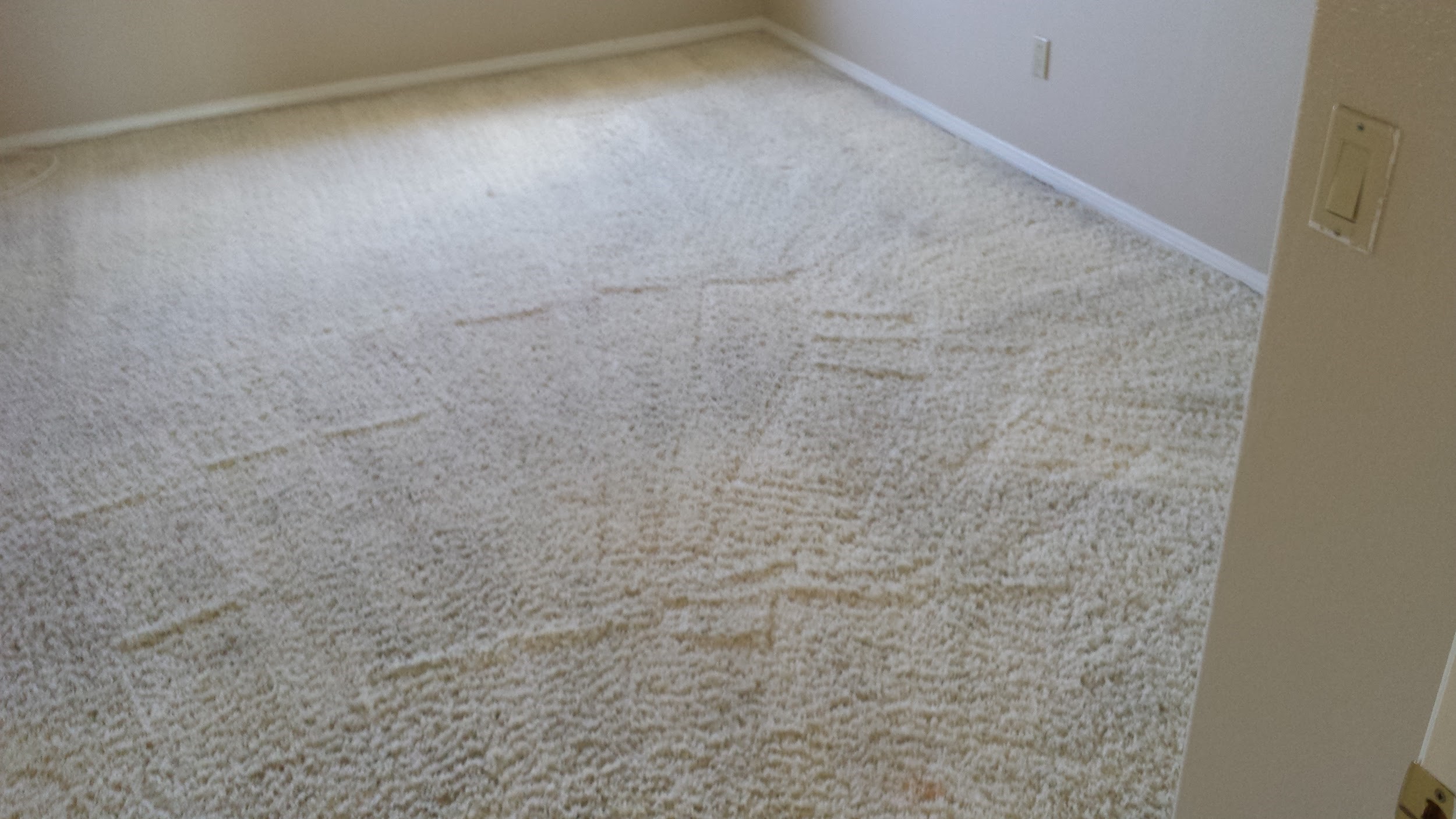 Gallery image 12 — San Diego Carpet Repair & Cleaning