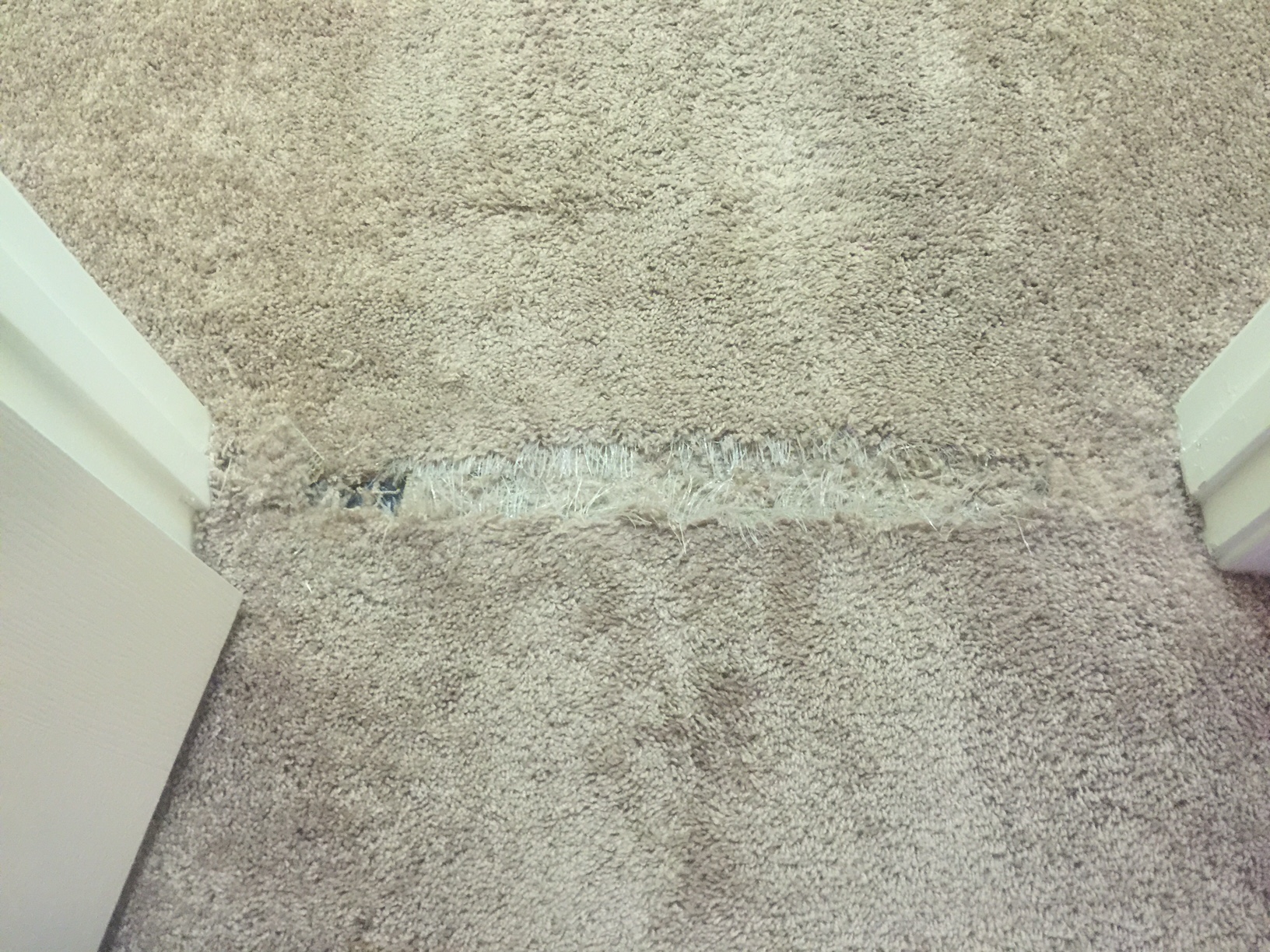 Gallery image 14 — San Diego Carpet Repair & Cleaning