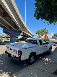 best termite treatment near me