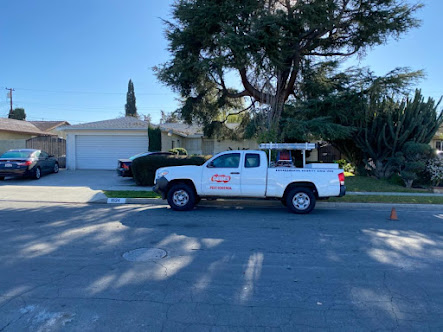 Gallery image 3 — commercial pest control San Jose