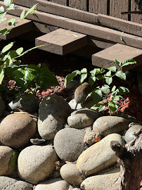 local exterminator San Jose CA