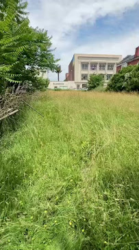 Gallery image 6 — affordable landscaping Amherst