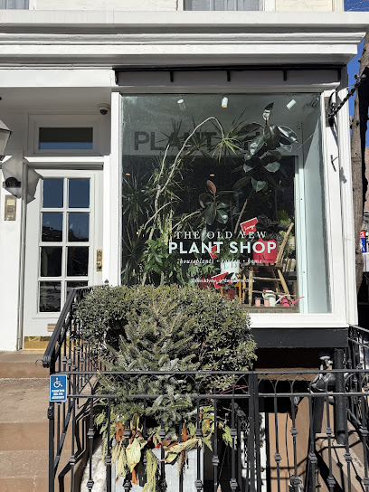 office plant installation near me
