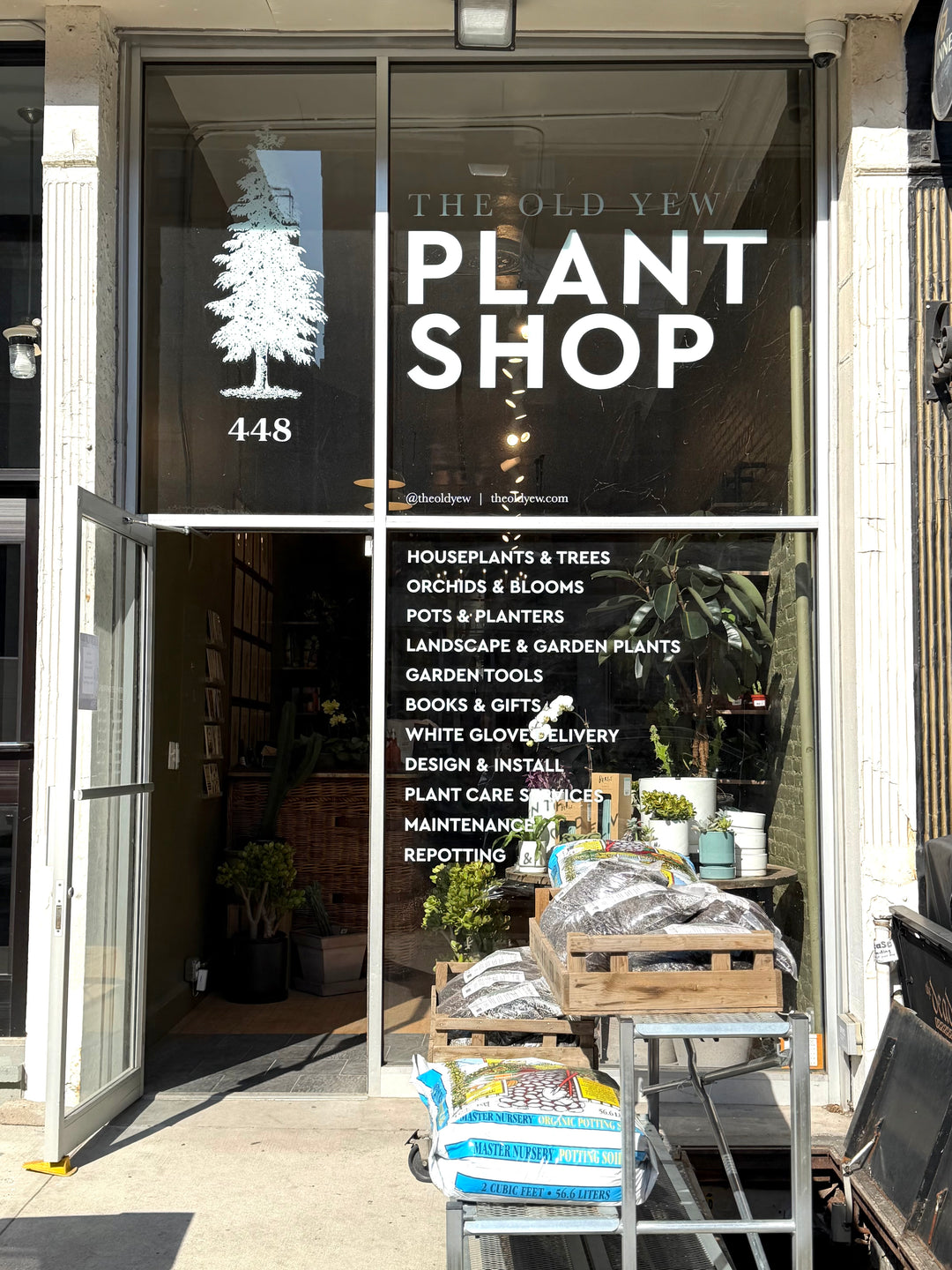 houseplants NYC