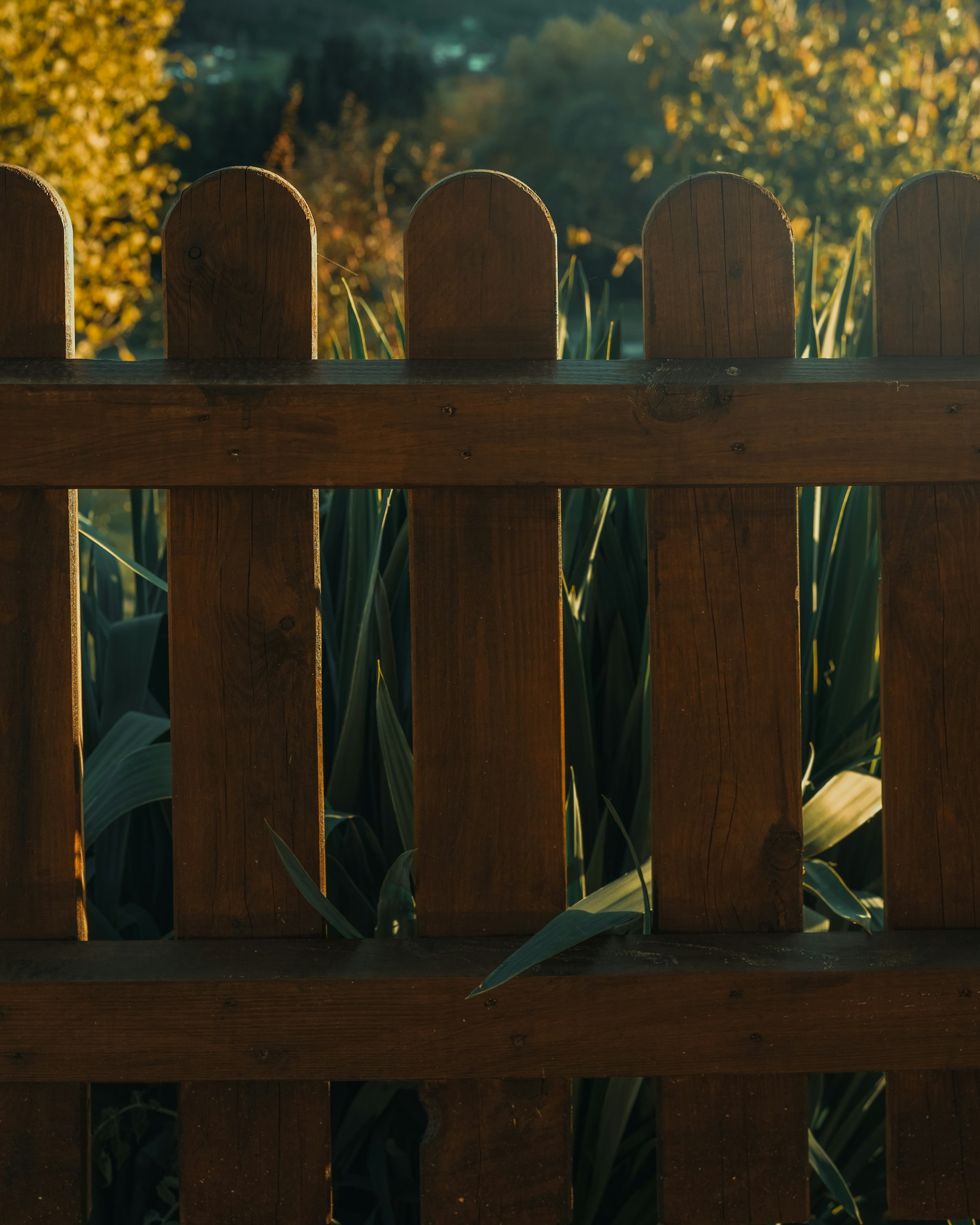 fence maintenance services Fence Experts