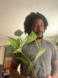 office plant maintenance New York