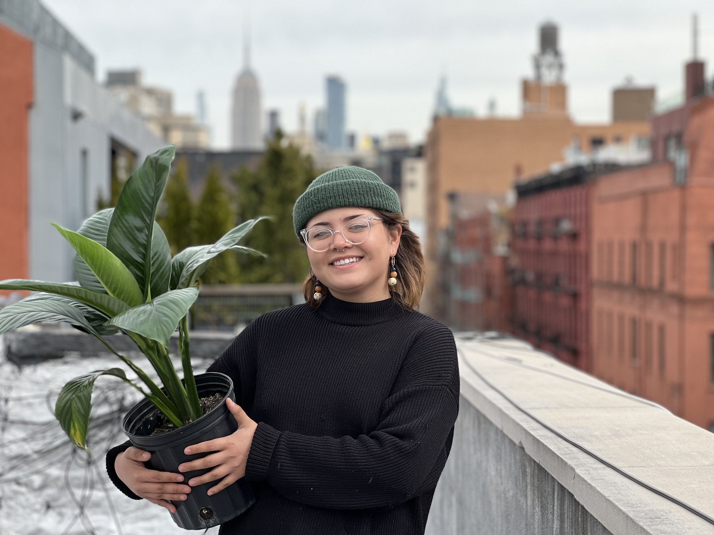 Gallery image 3 — commercial plant design Upper East Side