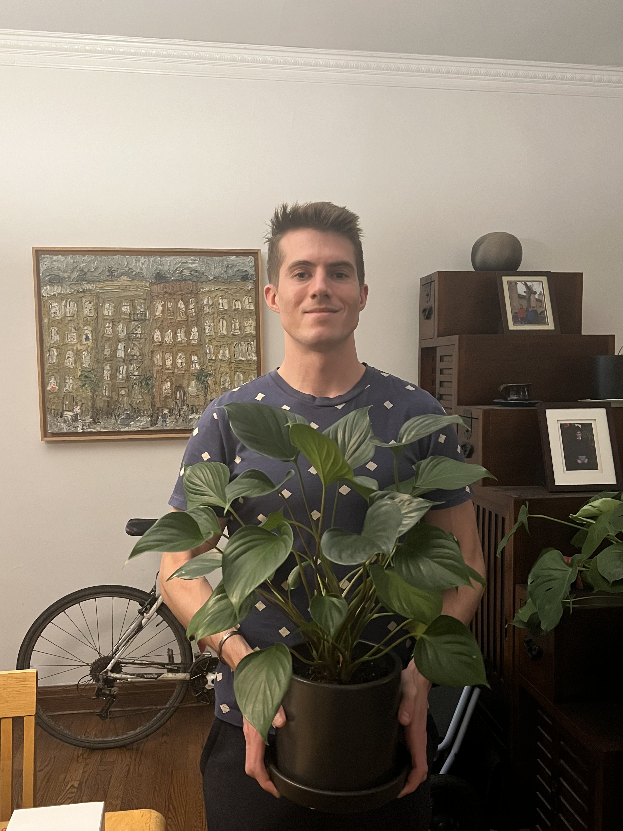Gallery image 1 — commercial plant design Upper East Side