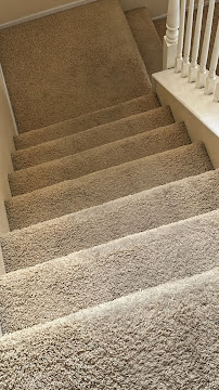 About best carpet cleaners near me