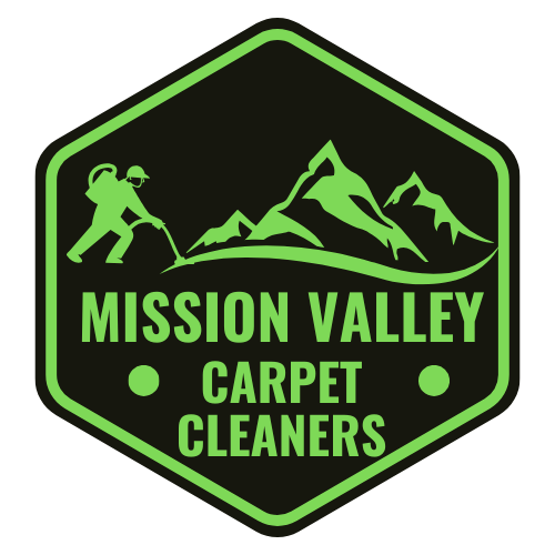 Gallery image 1 — best carpet cleaners near me
