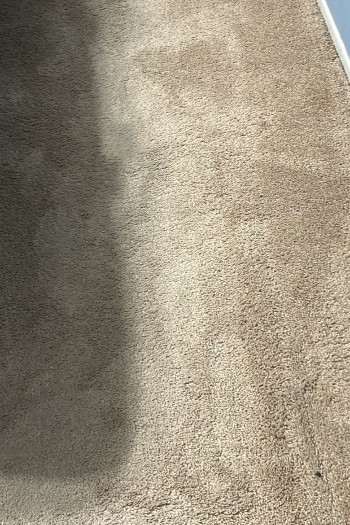 Gallery image 2 — best carpet cleaners near me