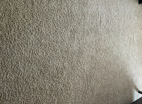 Gallery image 4 — best carpet cleaners near me