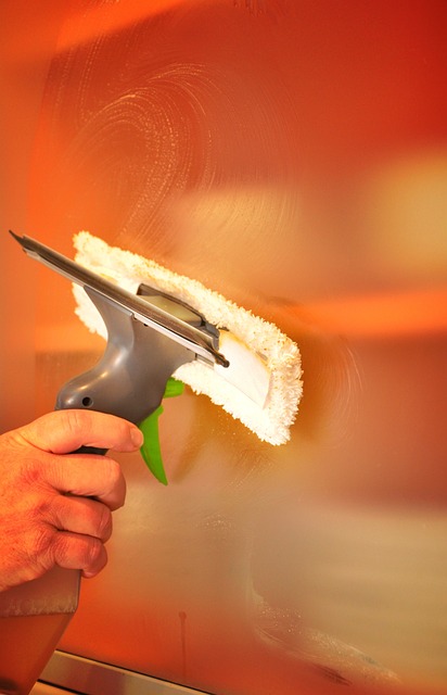 Gallery image 4 — home sanitizing San Jose