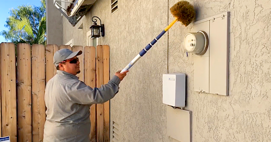 About annual termite prevention plan