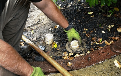Gallery image 3 — annual termite prevention plan