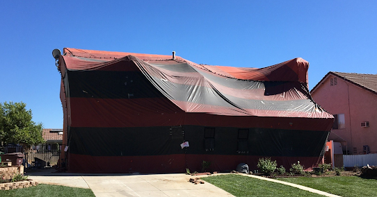 Gallery image 4 — annual termite prevention plan