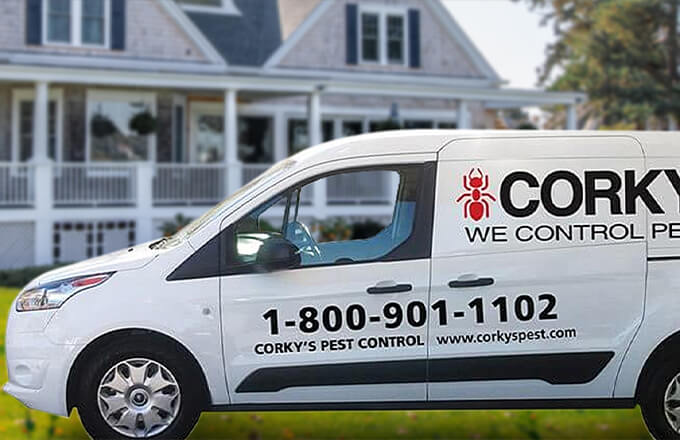 Gallery image 7 — spider control Santa Ana