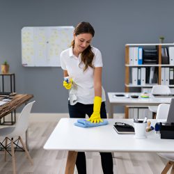 Gallery image 5 — refrigerator cleaning San Diego
