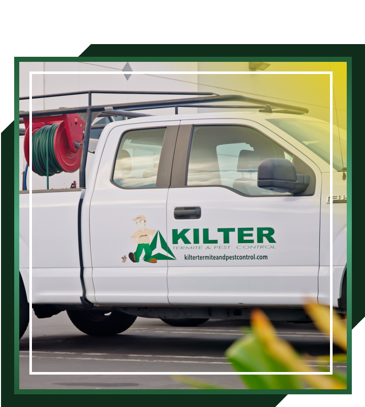 Gallery image 6 — Kilter Termite and Pest Control