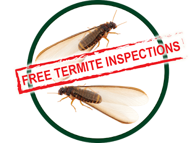 Gallery image 6 — free termite inspection near me