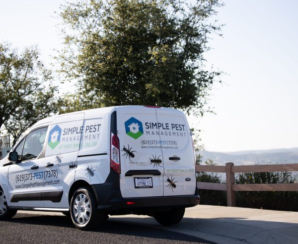 About best pest control near me