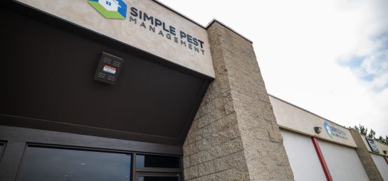 Gallery image 2 — Simple Pest Management