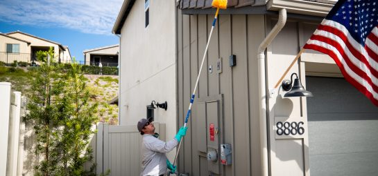 Gallery image 6 — Simple Pest Management