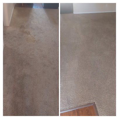 About Blue Carpet Cleaning