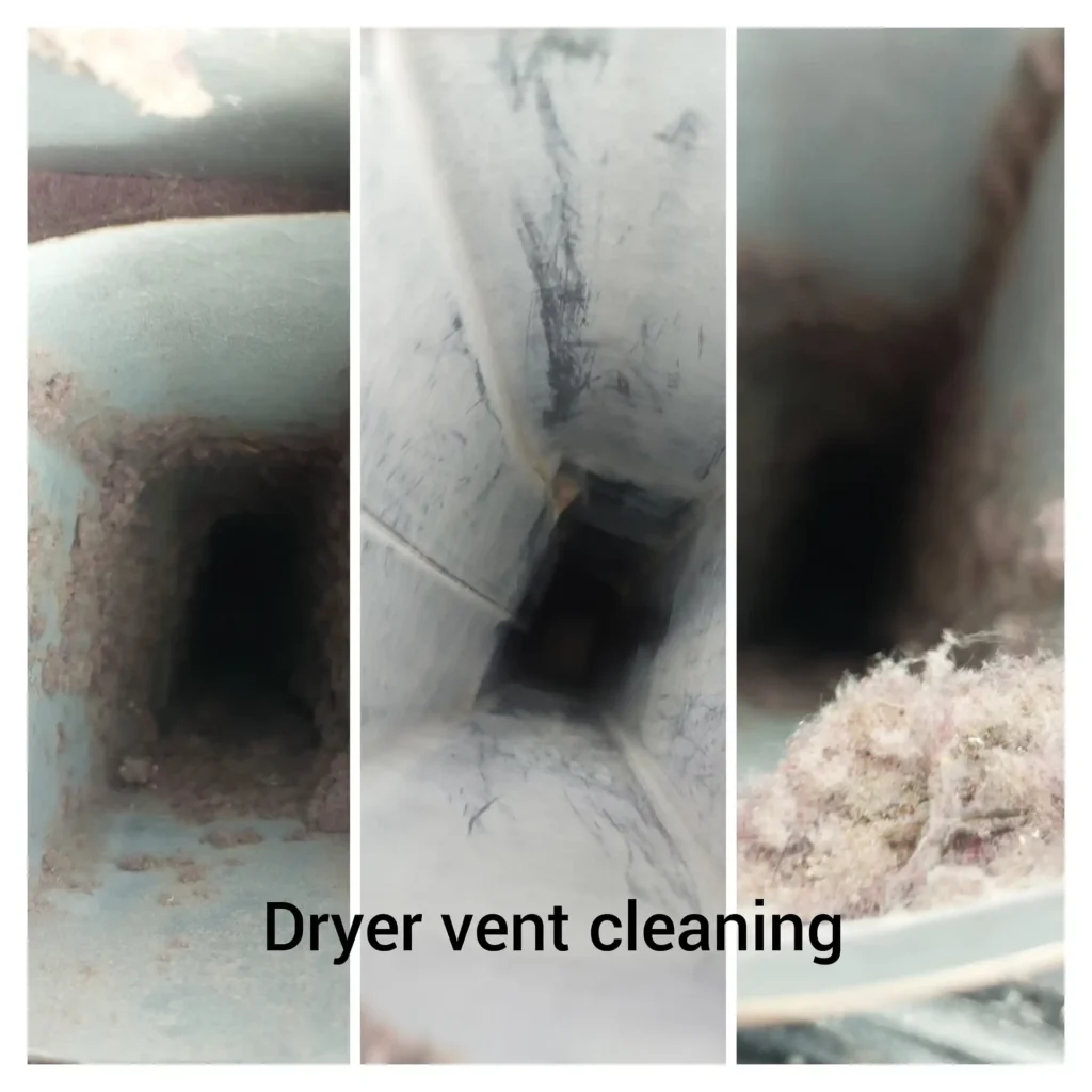Gallery image 4 — Blue Carpet Cleaning